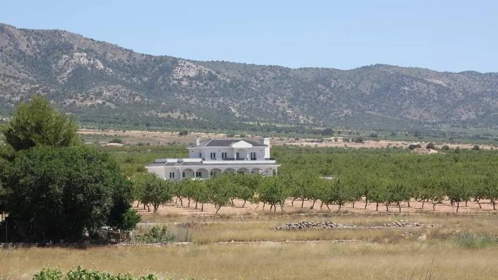Extérieur - New Build Villa with Pool in Pinoso