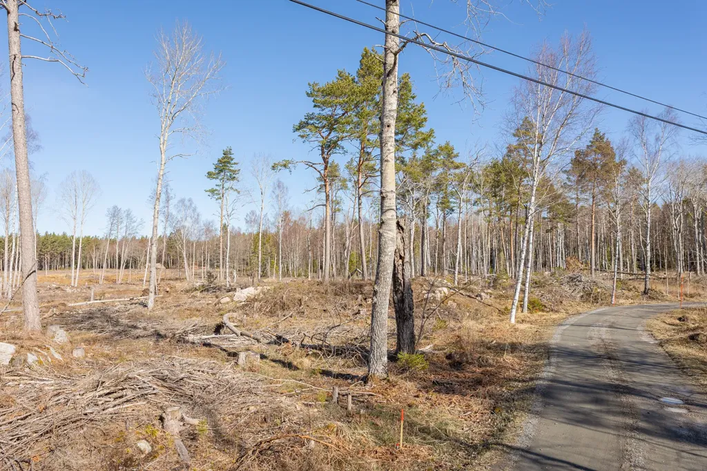 Jardin - Unbuilt Plot with Sea Access in Västerbyn