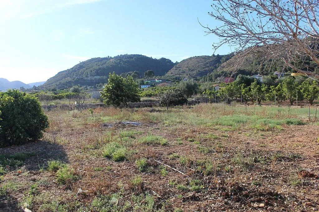 land_plot