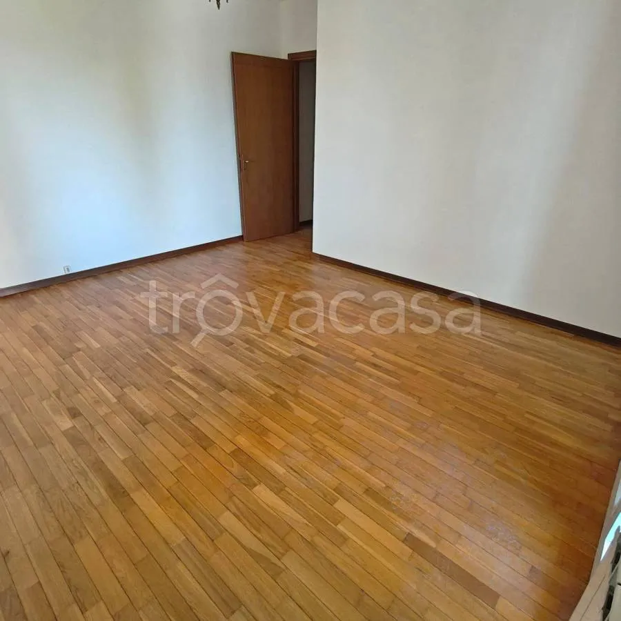 Toad - Apartment with Terraces in Brugine Centre