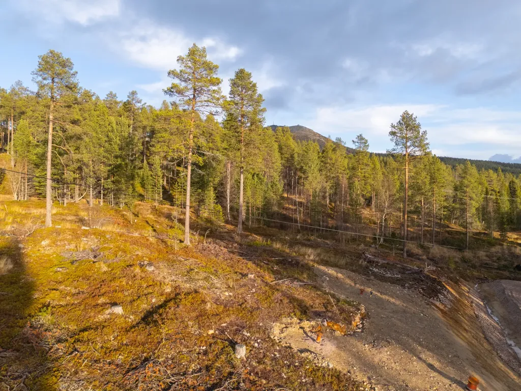 Plot with Ski Access in Härjedalen