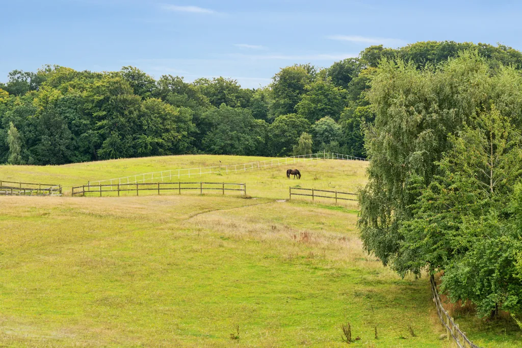 Aed - Villa with Equestrian Facilities in Hillerød