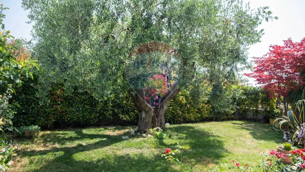 Garden - Independent House with Private Garden in Ostra