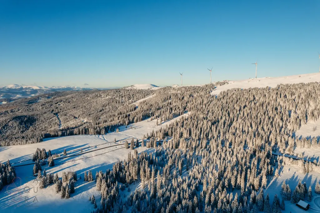 Modern Holiday Complex with Ski-In/Ski-Out in Posch Alpe