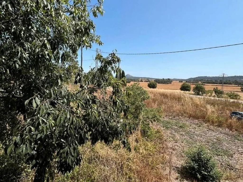 Aed - Rustic Masia with Finca in Vall-llebrerola