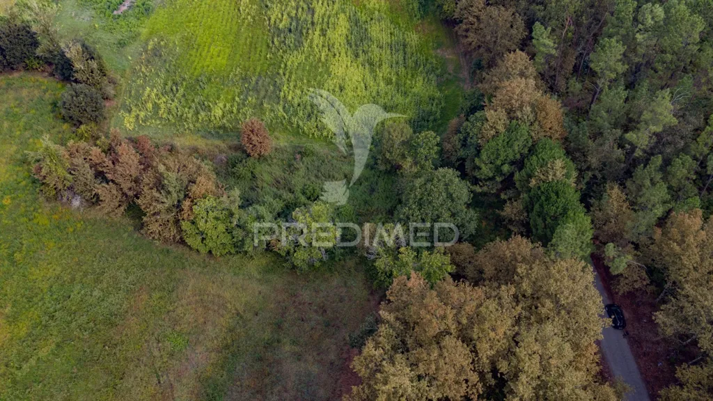Vue aérienne - Agricultural Land with Construction Viability in Lage