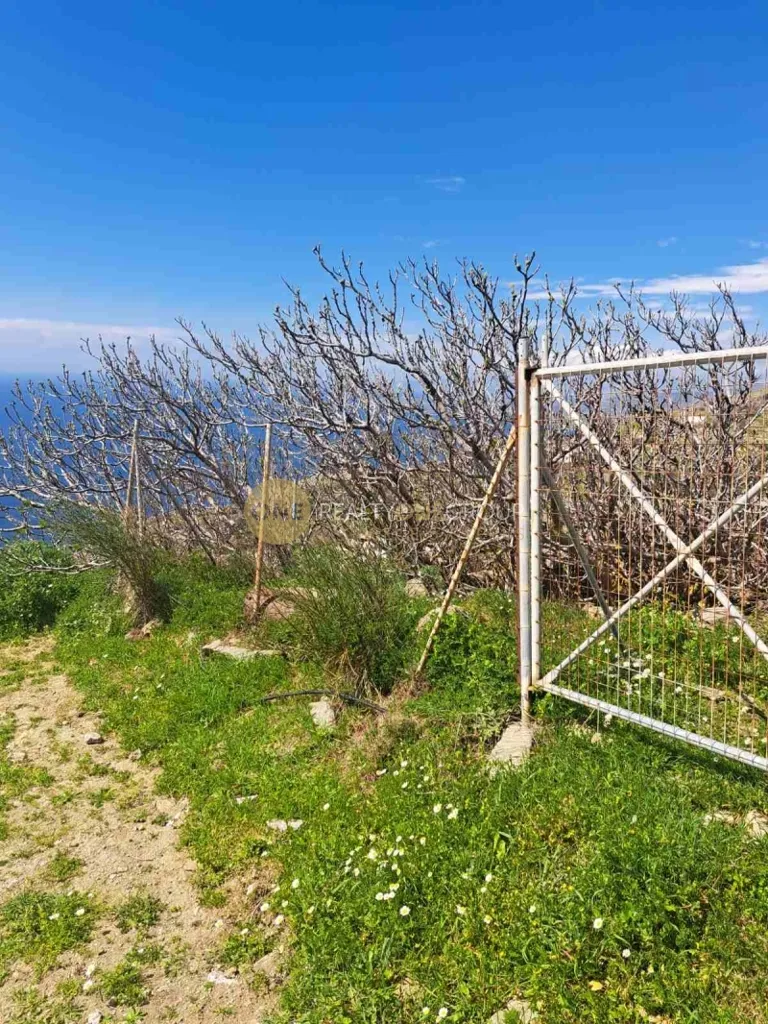 Aed - Buildable Plot with Panoramic View in Andros