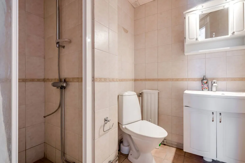 Vannitoad - Multi-Use Property with Historic Charm in Borgvik