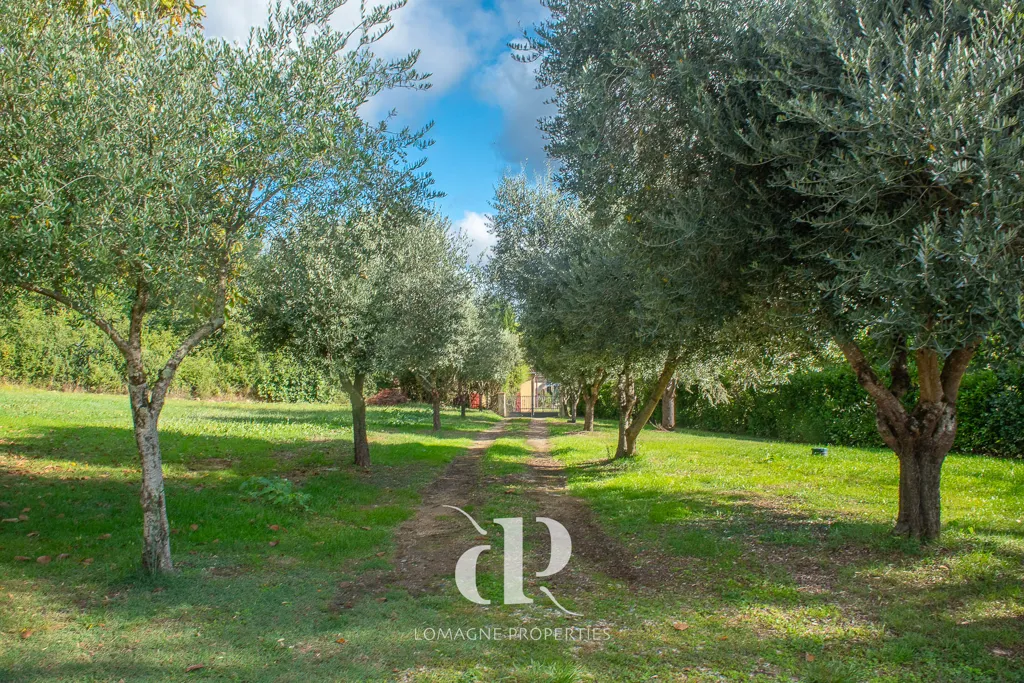 Giardino - Two-Roomed Houses with Pool in Lomagne