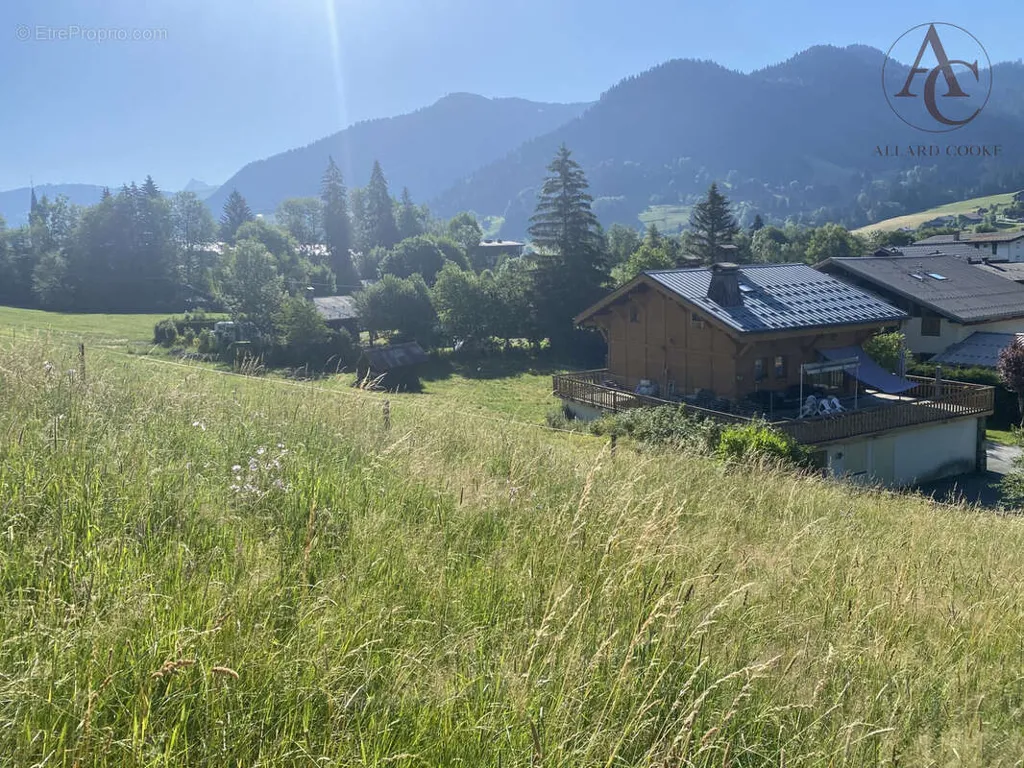 Aed - Buildable Plot with South Exposure in Praz-sur-Arly