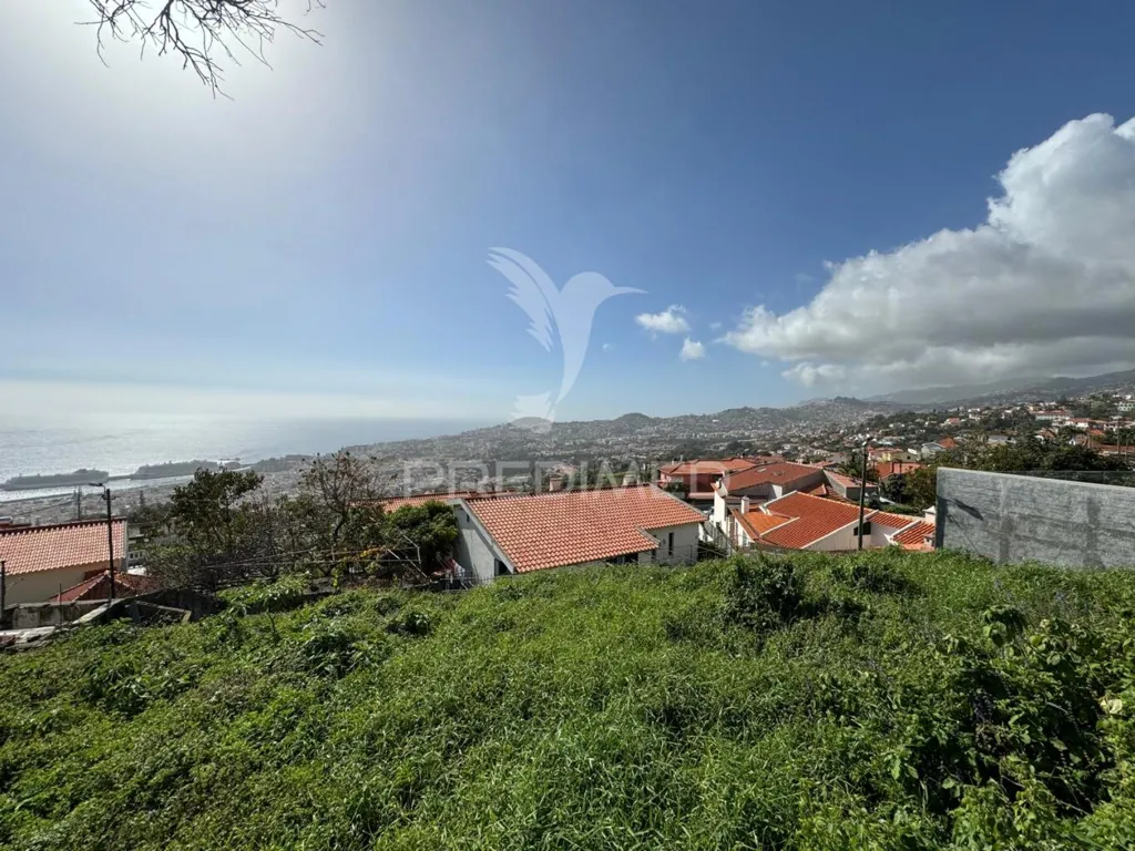 Jardin - Maison 3 pièces à Funchal