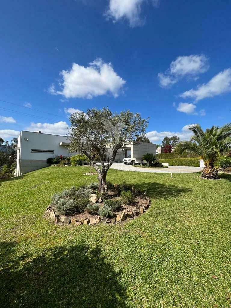 Jardin - Luxury Villa with Pool in Guimarães
