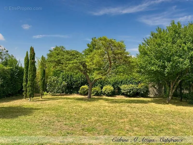 Jardin - Propriété de Caractère avec Piscine à Saint-Xandre