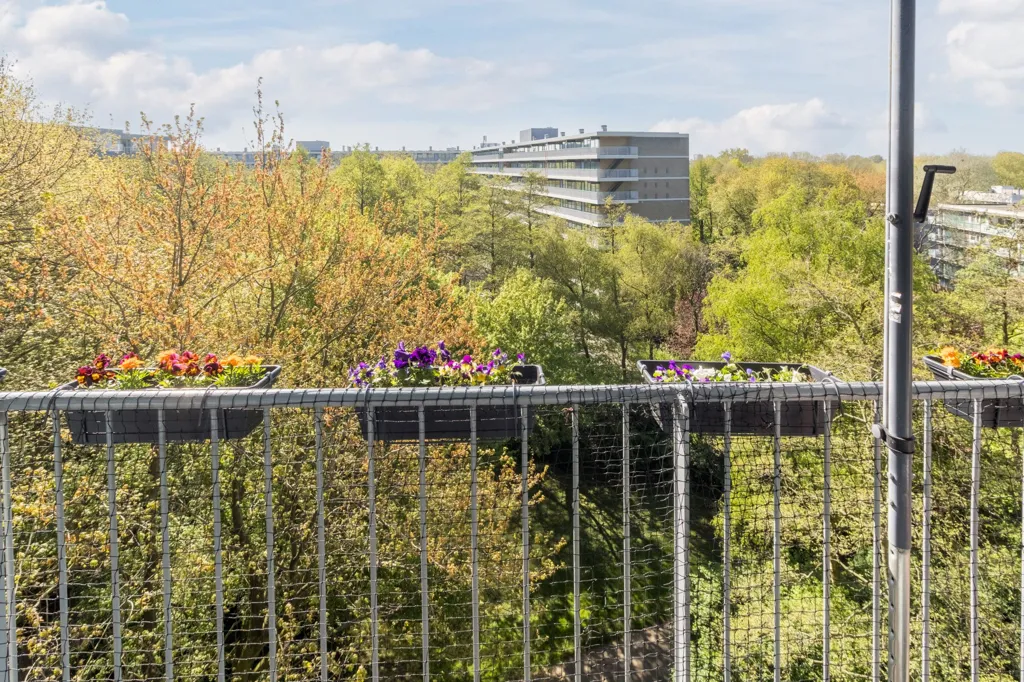 3-toaline korter asukohas Rotterdam