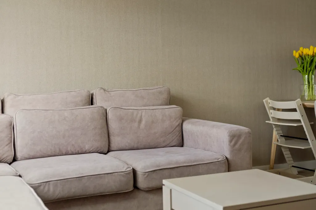 Séjour - Maison 5 pièces à Assen