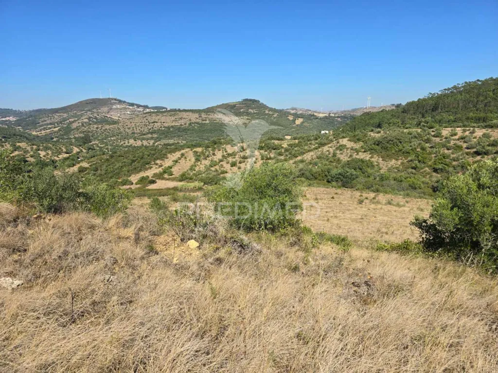 Jardin - Rustic Land with Approved Project in Mafra