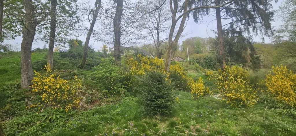 Jardin - Maison de Plain-Pied avec Terrain Boisé à Callac