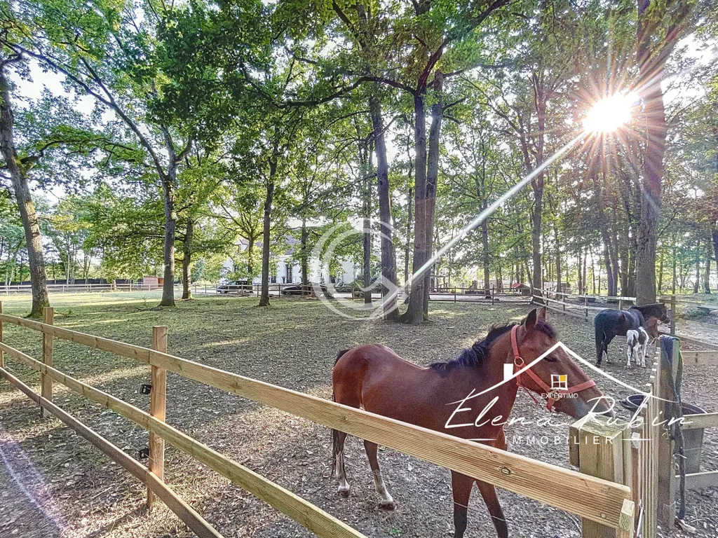 Aed - Equestrian Estate with Spa in Forested Area