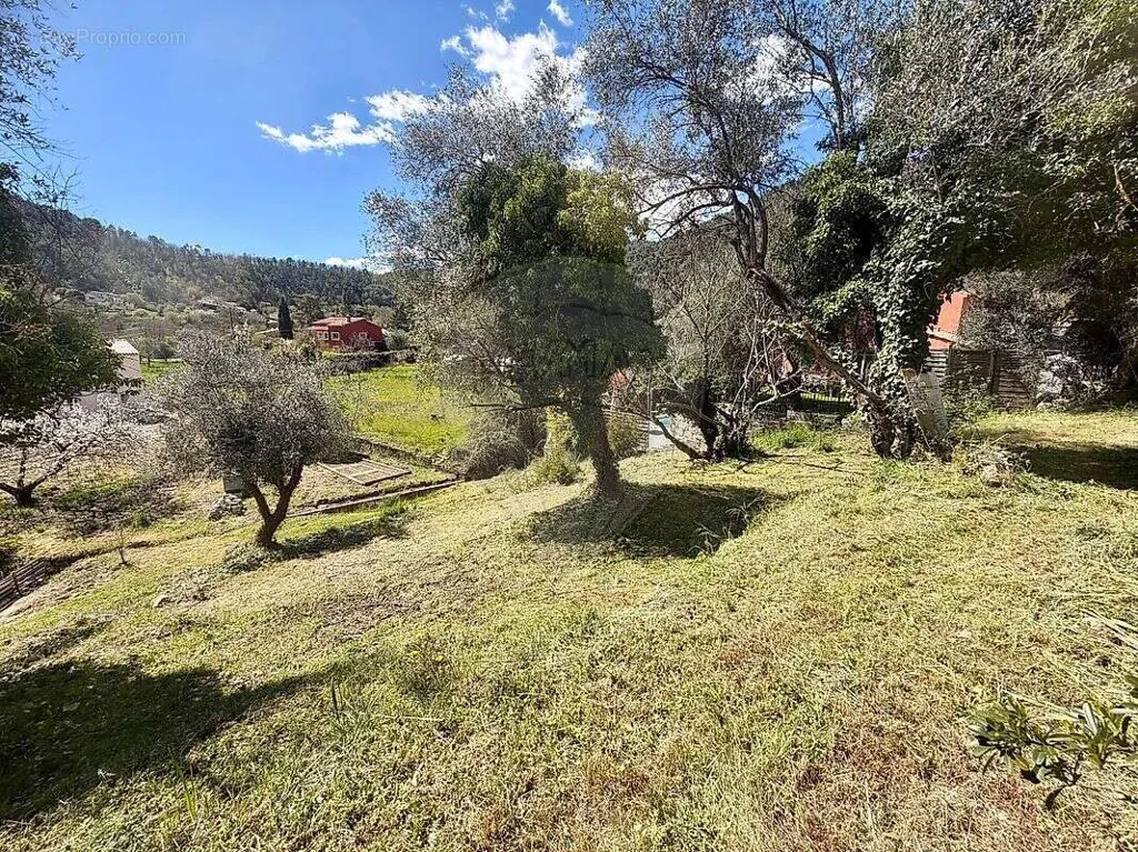 Aed - Buildable Plot with South Exposure in Tourrette-Levens