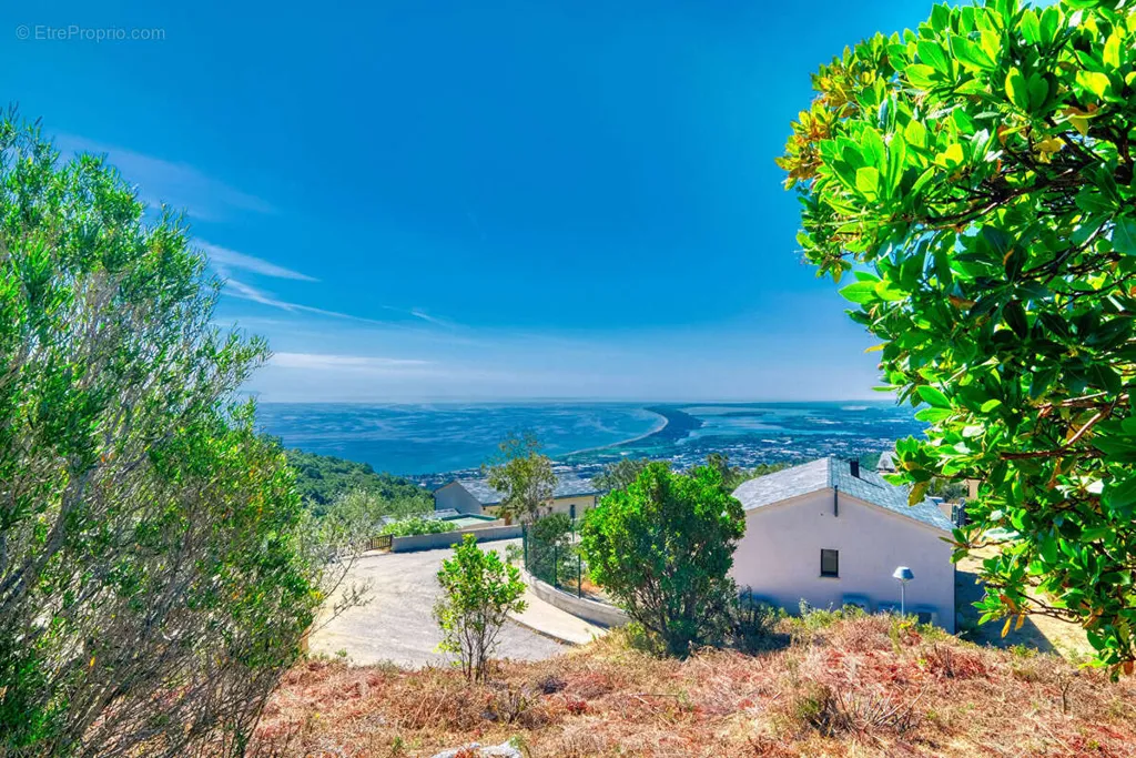 Jardin - Terrain Constructible avec Vues Panoramiques à Bastia