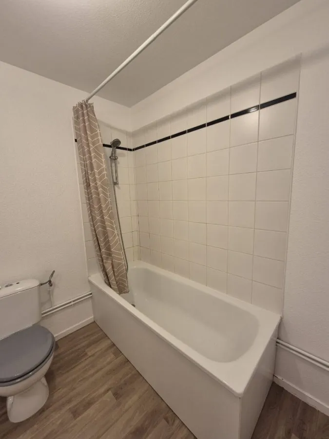 Vannitoad - Bright 1-Bedroom Apartment in Metz Centre