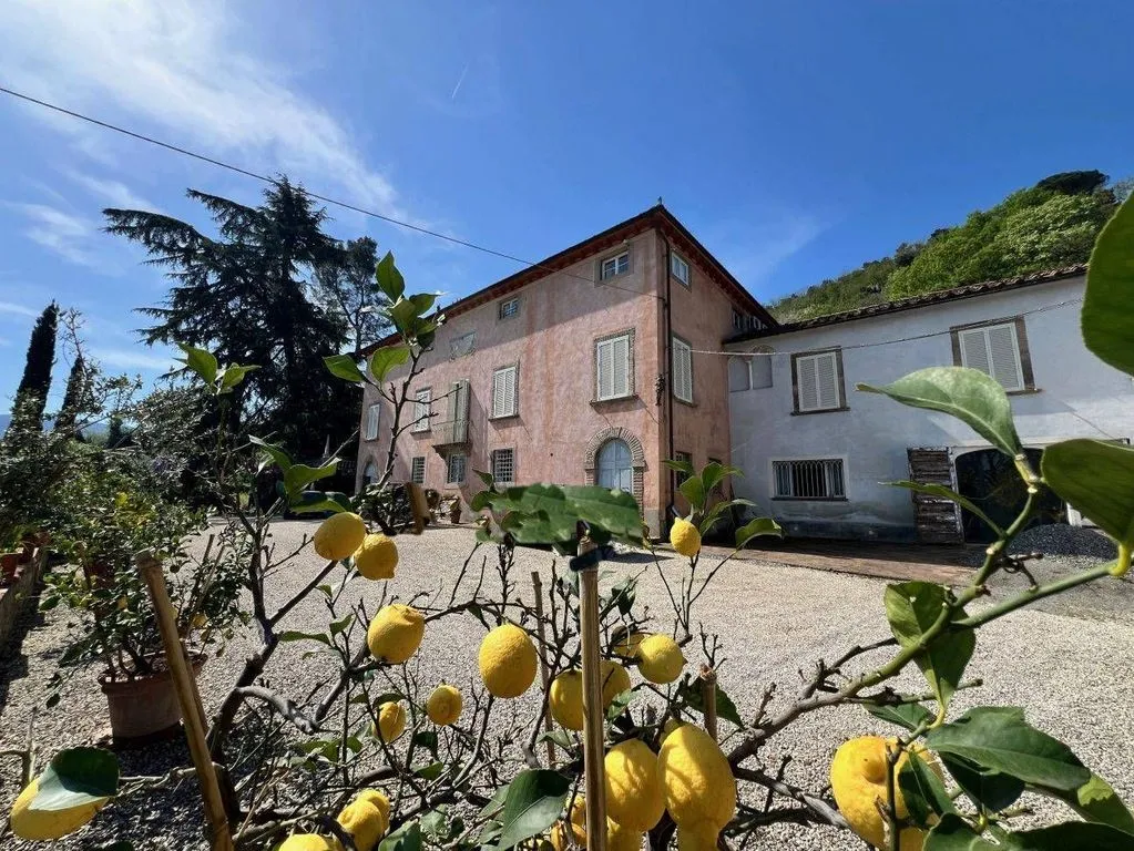 Extérieur - Luxury Villa with Park View near Lucca