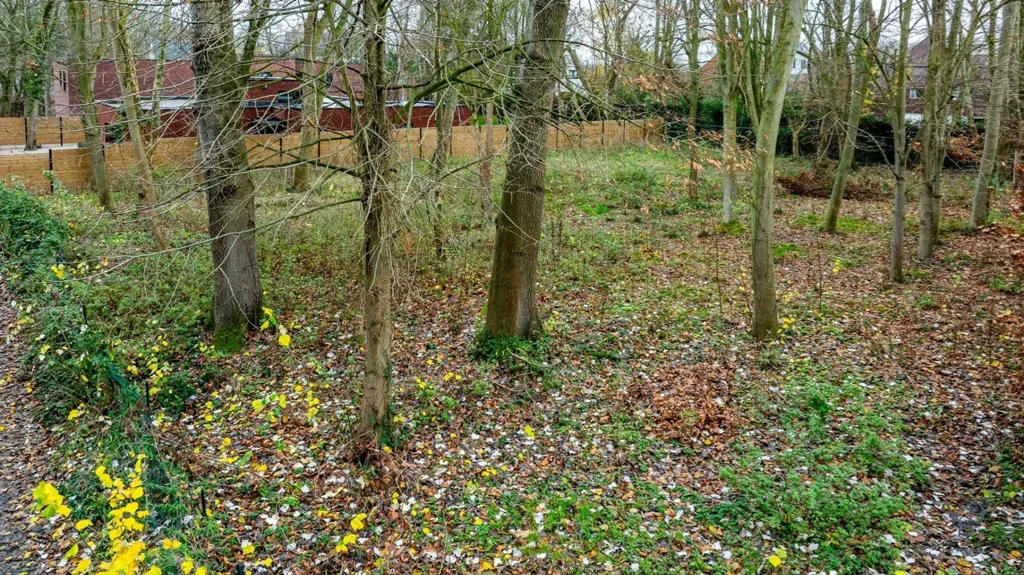 Jardin - Maison neuve à ossature ouverte à Dikkelvenne