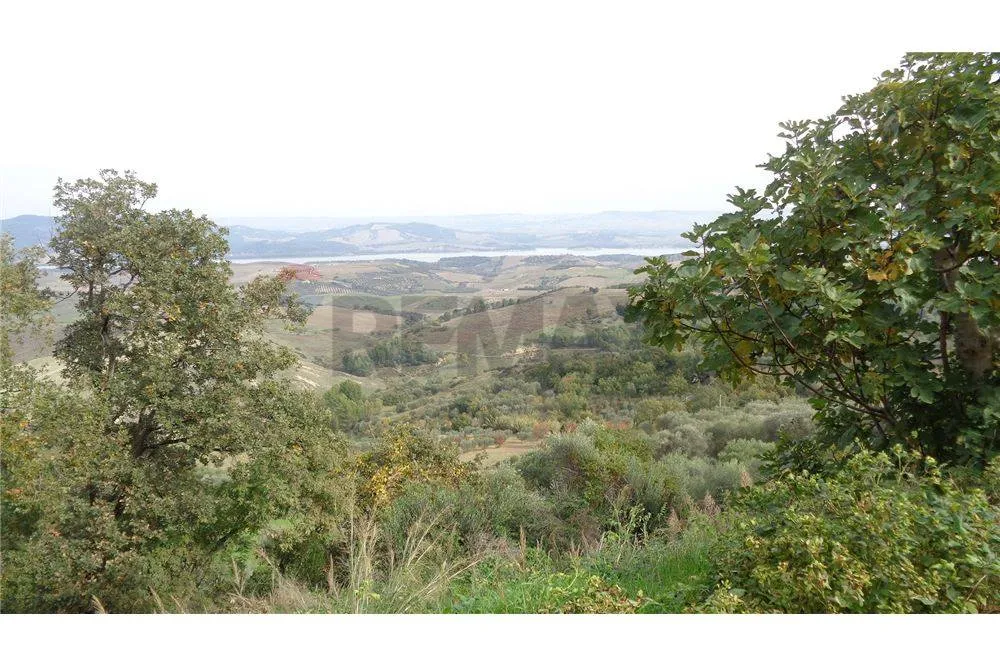 Jardin - Rustic Villa with Olive Grove near Miglionico