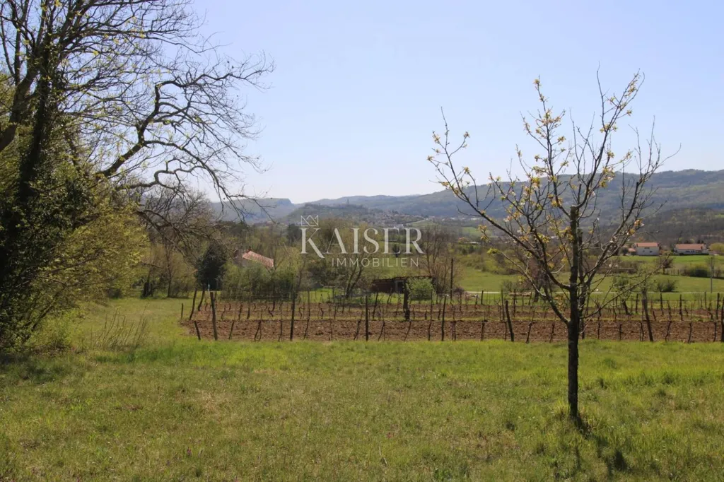 Jardin - Country House with Large Garden in Buzet