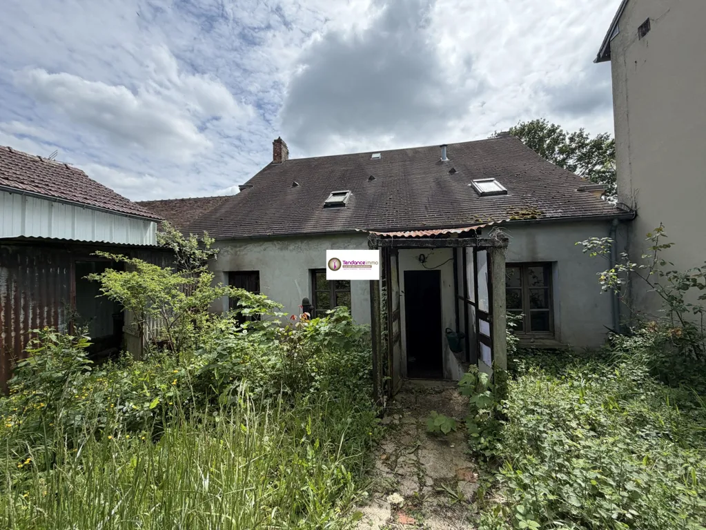 Jardin - Maison de Ville à Rénover avec Jardin