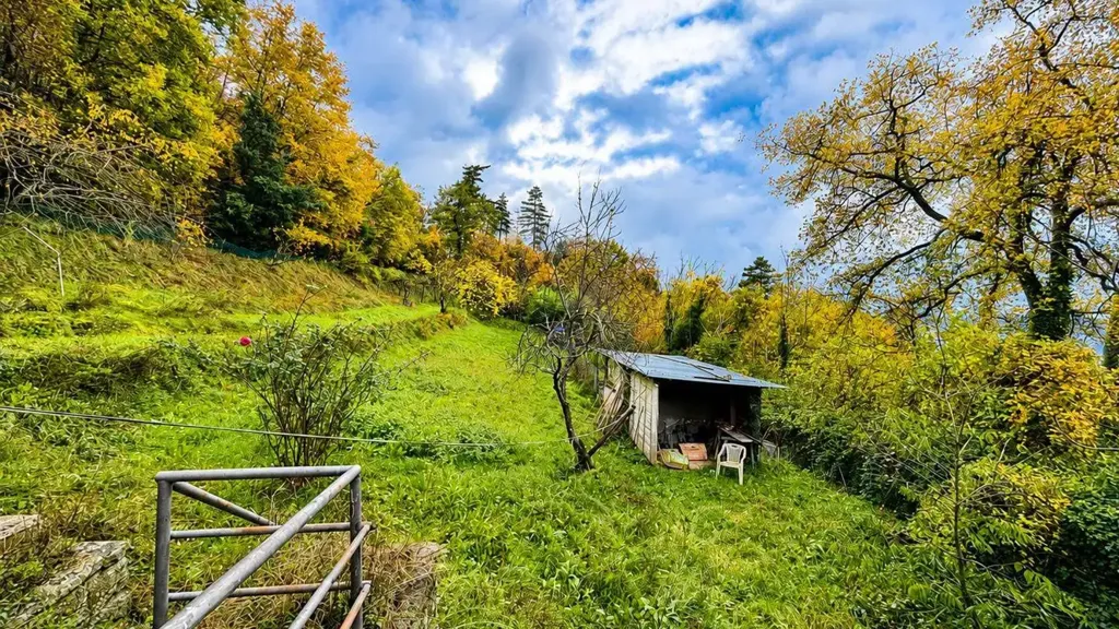 Aed - Terraced House with Garden in Reggello