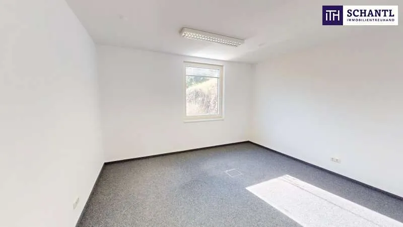 Toad - Commercial Space with A9 Access in Graz-Straßgang