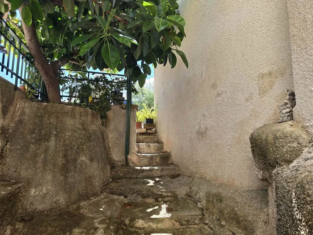 Toad - Apulian Masseria with Sea View in Monopoli