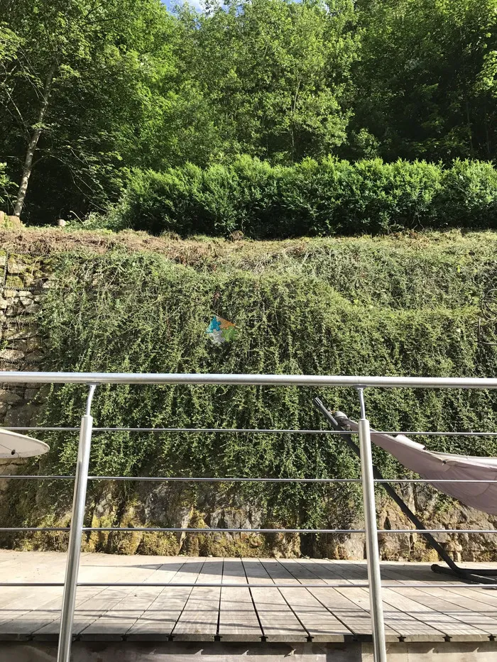 Jardin - Maison Jumelée avec Terrasse à Strassen