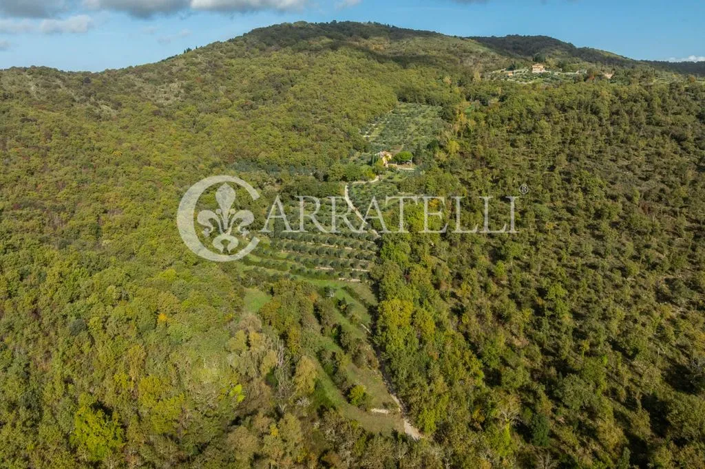 Vue aérienne - Luxury Villa with Panoramic Pool in Laterina