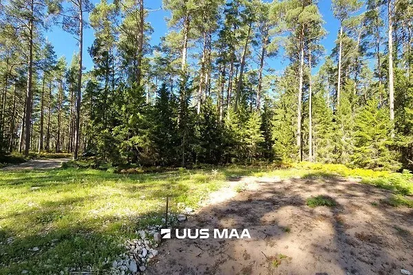 Jardin - Plot with Surf Paradise in Hiiumaa