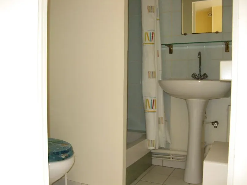 Vannitoad - 2-Bedroom Apartment with Balcony in Angers
