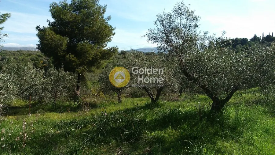 Aed - Plot with Panoramic View in Nauplia