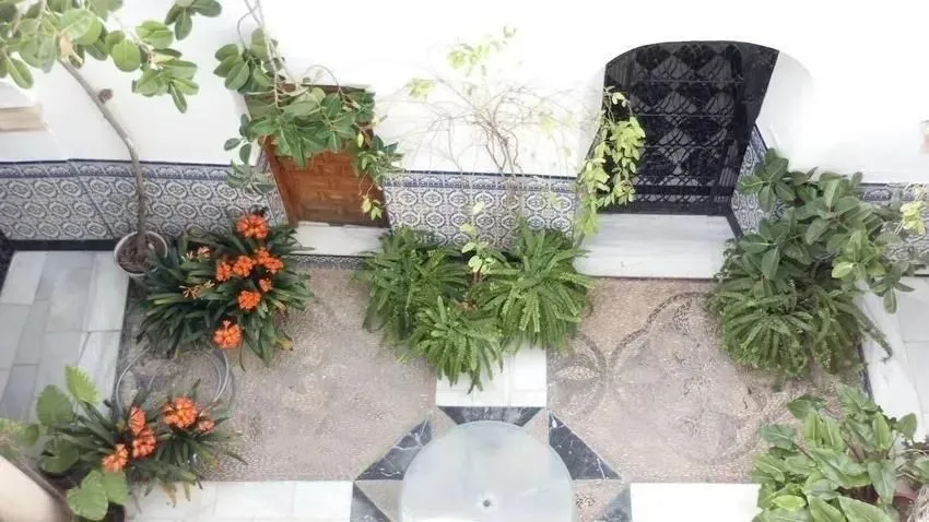 Jardin - Historic Townhouse with Pool in Córdoba