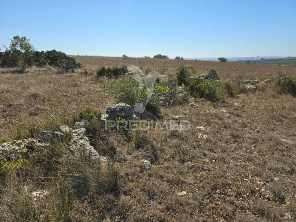 Jardin - Rustic Land with Approved Project in Mafra