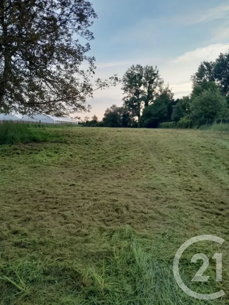 Jardin - Terrain Constructible avec Vue sur la Baie de Somme à Argoules