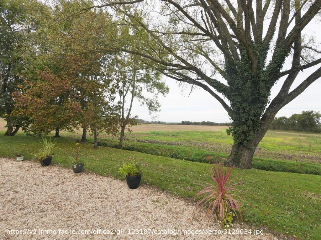 Jardin - Studio Meublé avec Jardin à La Meignanne