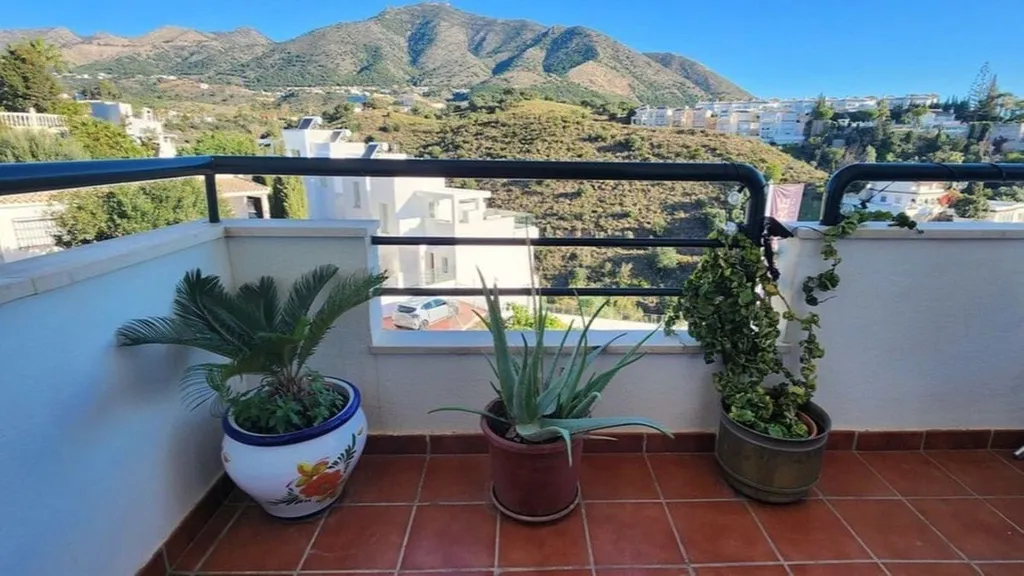 terrace_patio