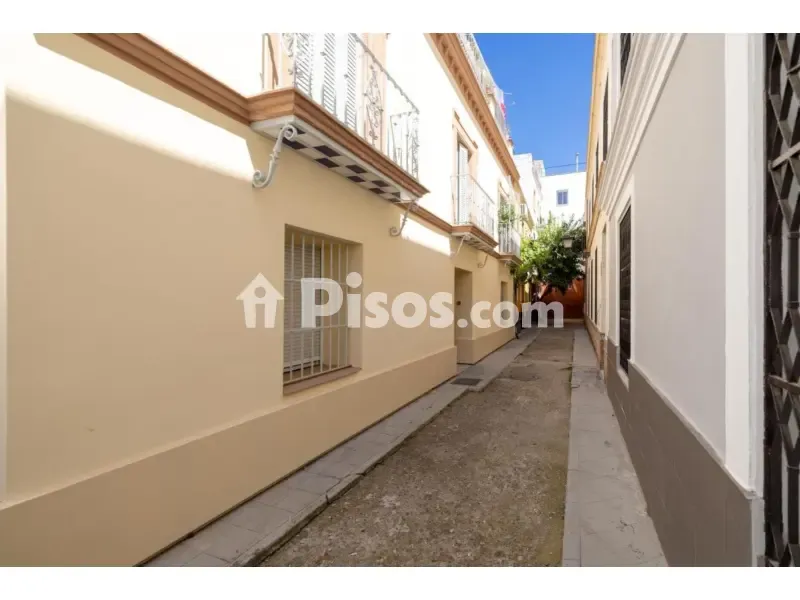 Aed - Duplex with Private Terrace in Callejón Teide