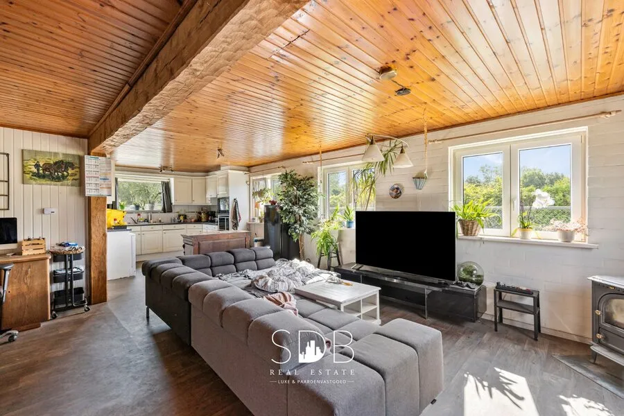 Living Room - Farmhouse with Equestrian Facilities in Weelde