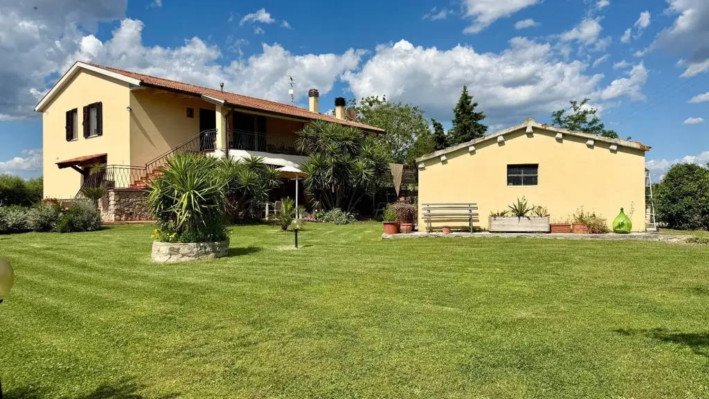 Aed - Rustic Casale with Olive Grove near Orbetello