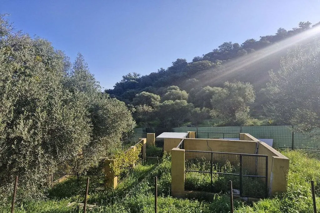 Garden - Rustic Cottage with Pool in Coín