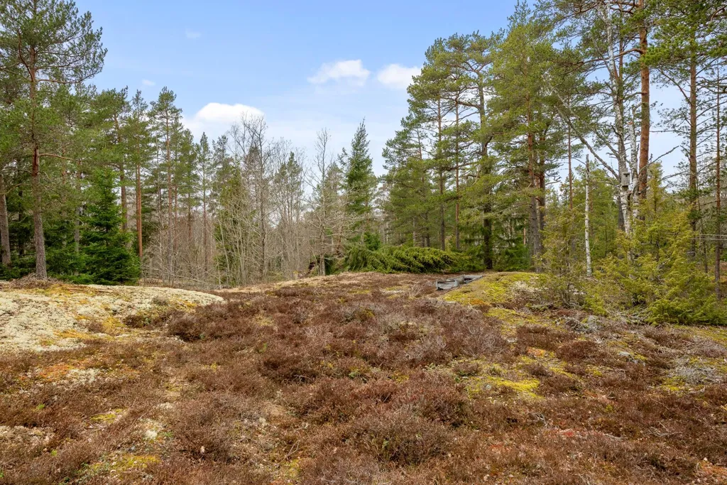 land_plot