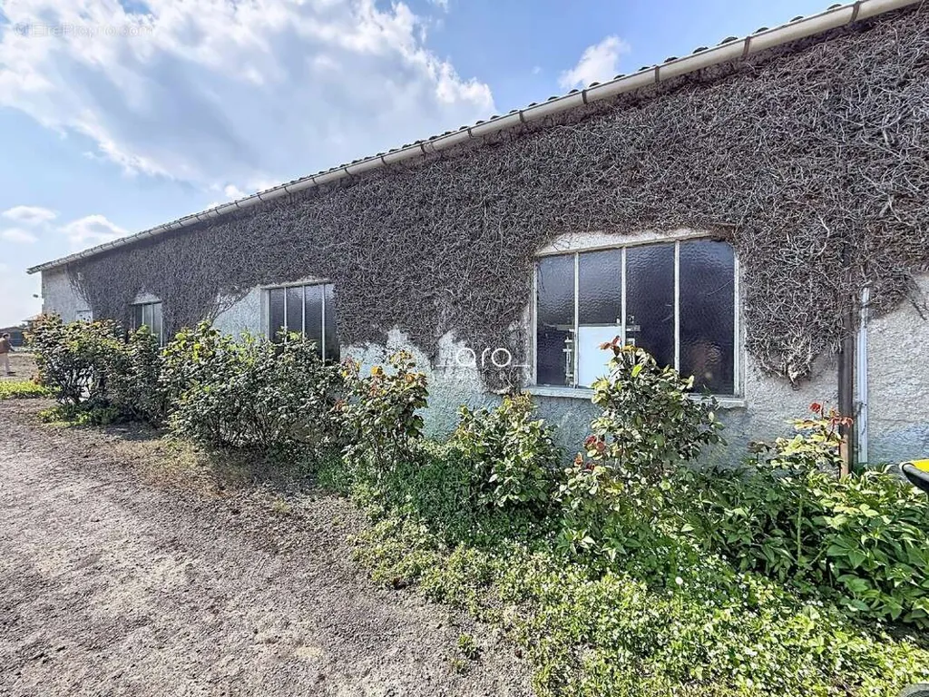 3-toaline maja asukohas Camphin-En-Pevele