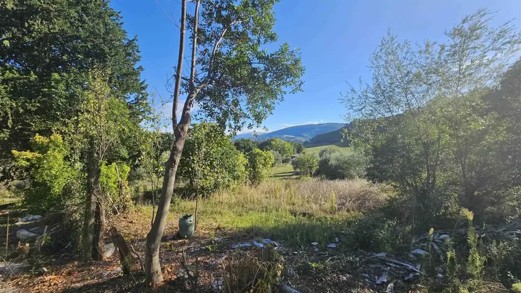 Aed - New Villa with Olive Grove near San Severino Marche